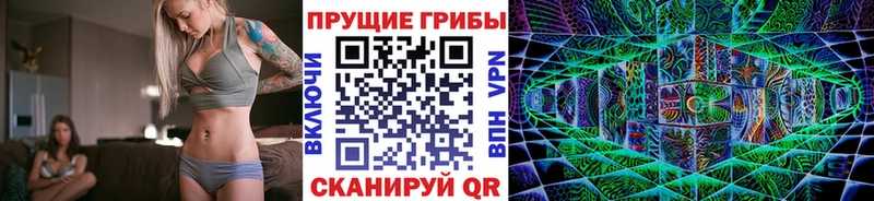 Галлюциногенные грибы Psilocybe  наркотики  Пугачёв 
